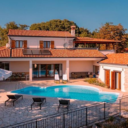 Villa Arton Heated Swimming-Pool Žminj Kültér fotó