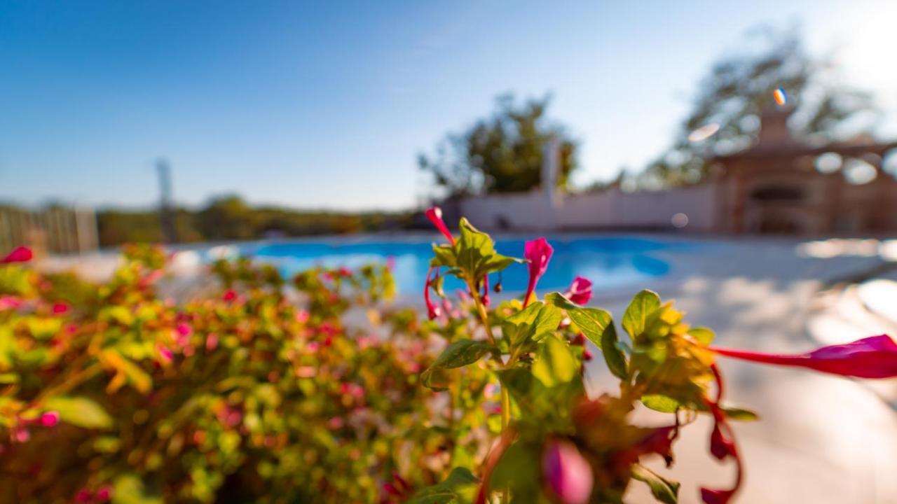 Villa Arton Heated Swimming-Pool Žminj Kültér fotó